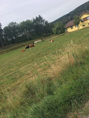 Collège des Roises à Piney