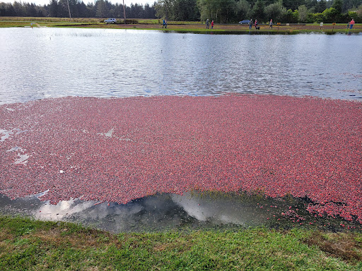 Museum «Cranberry Museum», reviews and photos, 2907 Pioneer Rd, Long Beach, WA 98631, USA