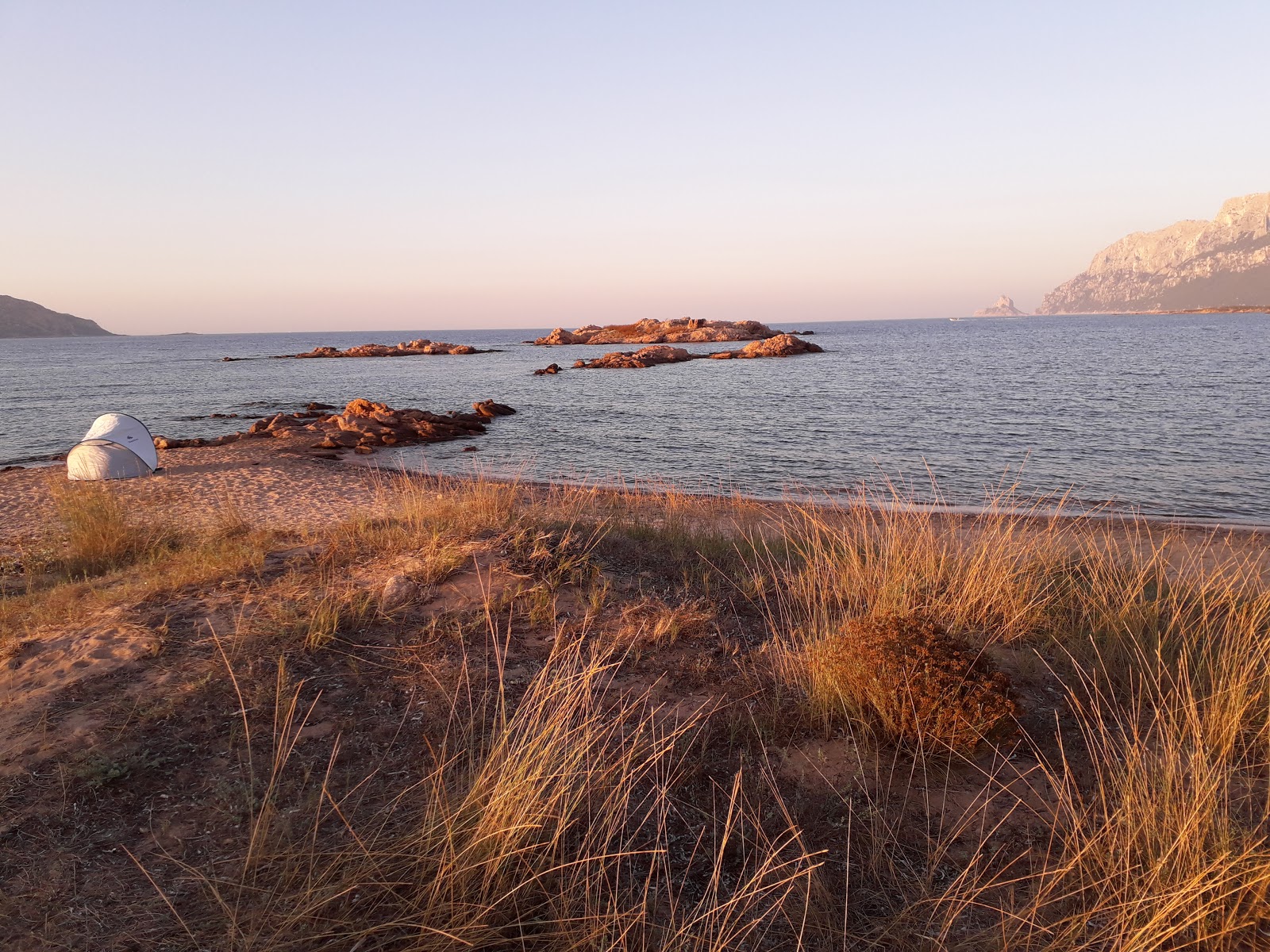 Foto de Punta Corallina beach área selvagem