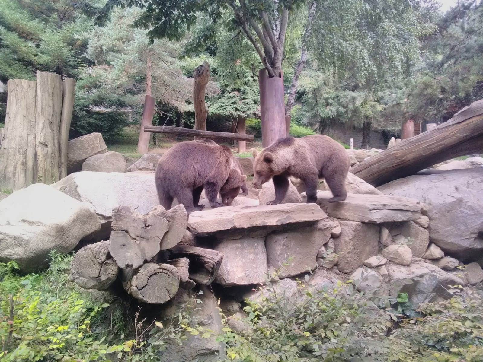 Photo n° 13 de l'avis de Imelda.i fait le 24/08/2019 à 20:04