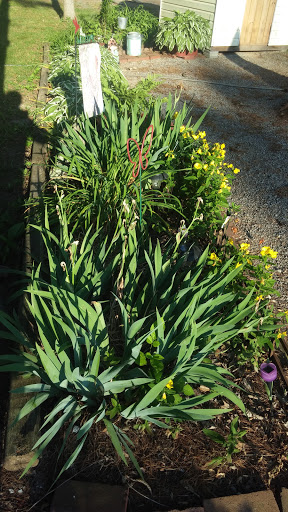 Campground «Saunderosa Park Inc», reviews and photos, 5909 Little Cove Rd, Mercersburg, PA 17236, USA