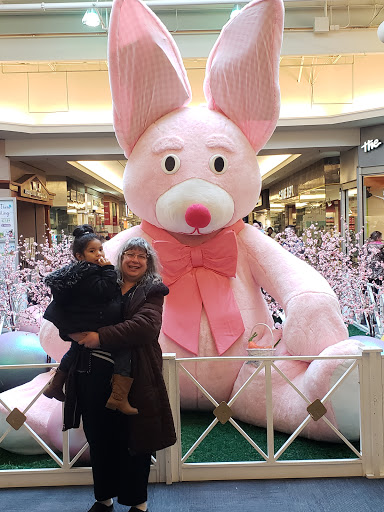 Shopping Mall «The Mall of Monroe», reviews and photos, 2121 N Monroe St, Monroe, MI 48162, USA