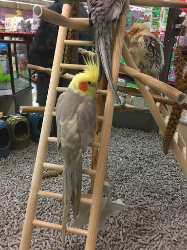 Pet Supply Store «Petco Animal Supplies», reviews and photos, 2131 Pleasant Hill Rd, Duluth, GA 30096, USA