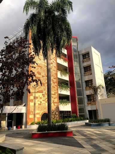 Institutos publicos en Santo Domingo