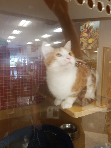 Pet Supply Store «Petco Animal Supplies», reviews and photos, 10060 US Highway 40 G-150, Ellicott City, MD 21042, USA