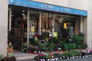 Feng Xing image