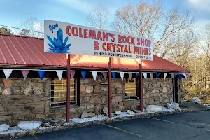 Coleman's Rock Shop & Crystal Mines - Terri & Jim image