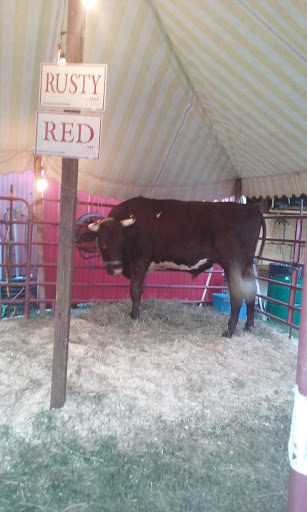 Fairground «Tioga County Fair Grounds», reviews and photos, 2258 Charleston Rd, Wellsboro, PA 16901, USA