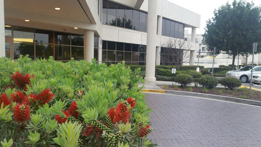 The New Program-Orange Coast Memorial Medical Center - The New Program-Orange Coast Memorial Medical Center