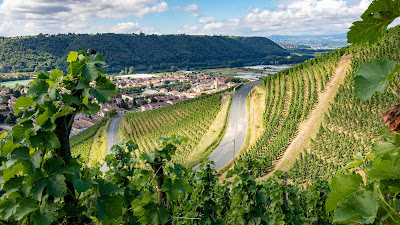 Domaine de Rosiers à Ampuis