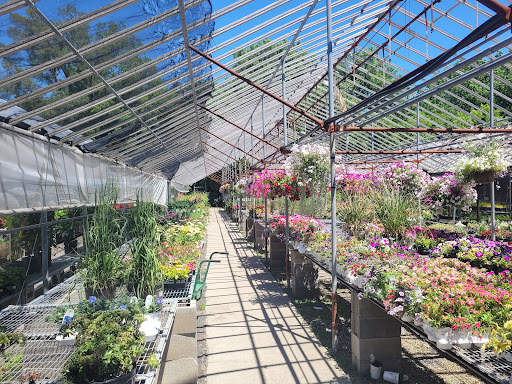 Plant Nursery «Goldner Walsh Garden and Home», reviews and photos, 559 Orchard Lake Rd, Pontiac, MI 48341, USA