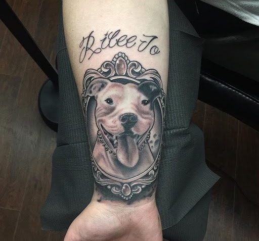 Explore seagull tattoo ideas, creative tattoo ideas in Spokane, available at Anchored Art Tattoo