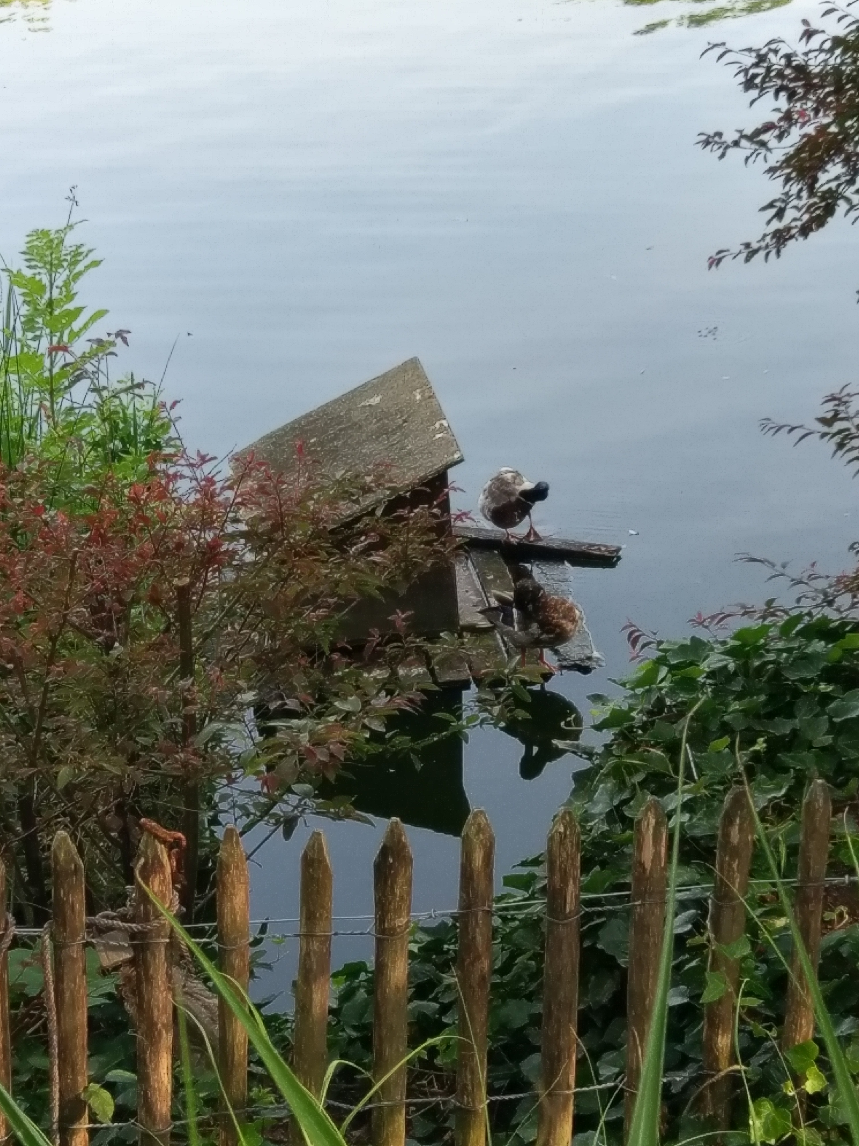 Photo n° 1 de l'avis de Dès.o fait le 04/06/2017 à 18:48