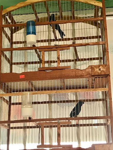 Pet Supply Store «Neighborhood Pet Shop», reviews and photos, 574 Hialeah Dr, Hialeah, FL 33010, USA