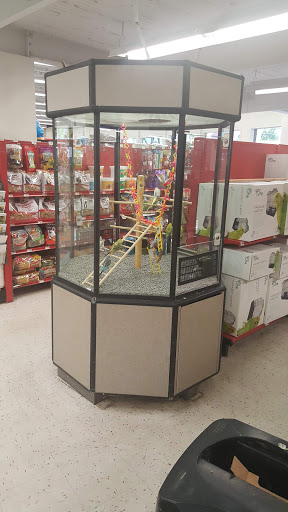 Pet Supply Store «Petco Animal Supplies», reviews and photos, 1301 S California Blvd, Walnut Creek, CA 94596, USA