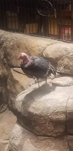 Sporting Goods Store «Bass Pro Shops», reviews and photos, 7777 Victoria Gardens Ln, Rancho Cucamonga, CA 91739, USA