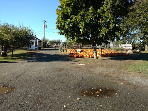 Farm «Russell Orchards», reviews and photos, 143 Argilla Rd, Ipswich, MA 01938, USA