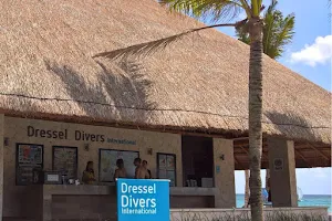 Dressel Divers Puerto Aventuras image
