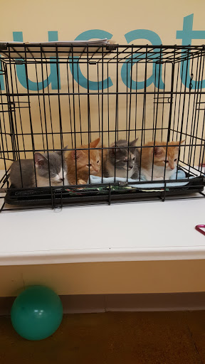 Pet Supply Store «PetPeople», reviews and photos, 7341 Tylers Corners Dr, West Chester Township, OH 45069, USA