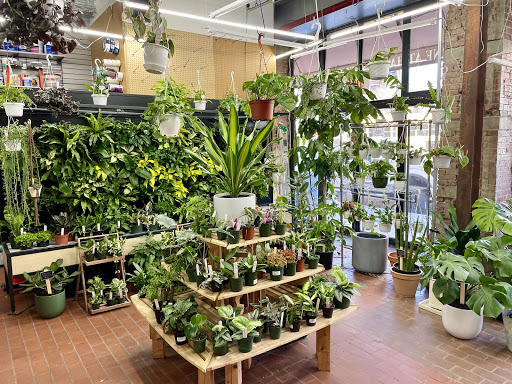 Hardware Store «Hardware 2.0», reviews and photos, 860 Atlantic Ave, Brooklyn, NY 11238, USA