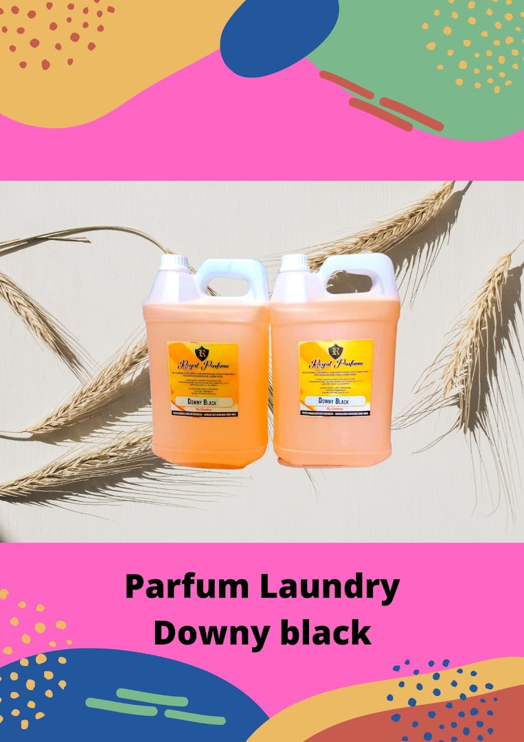 Gambar Paket Usaha Laundry Medan