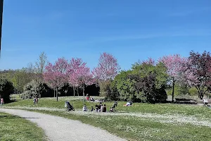 Conca Urban Park image