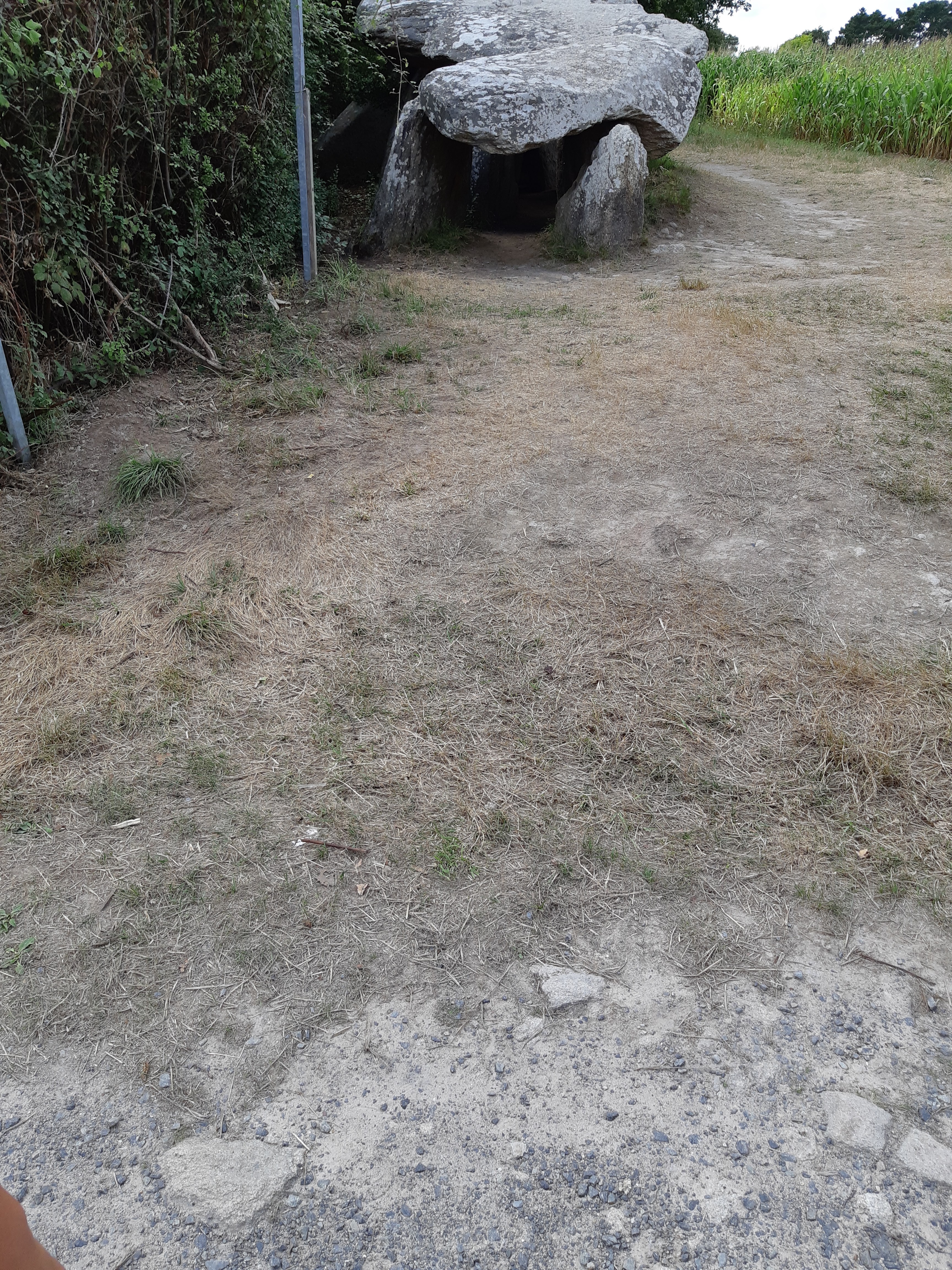 Photo n° 6 de l'avis de Elena.a fait le 06/09/2020 à 14:17