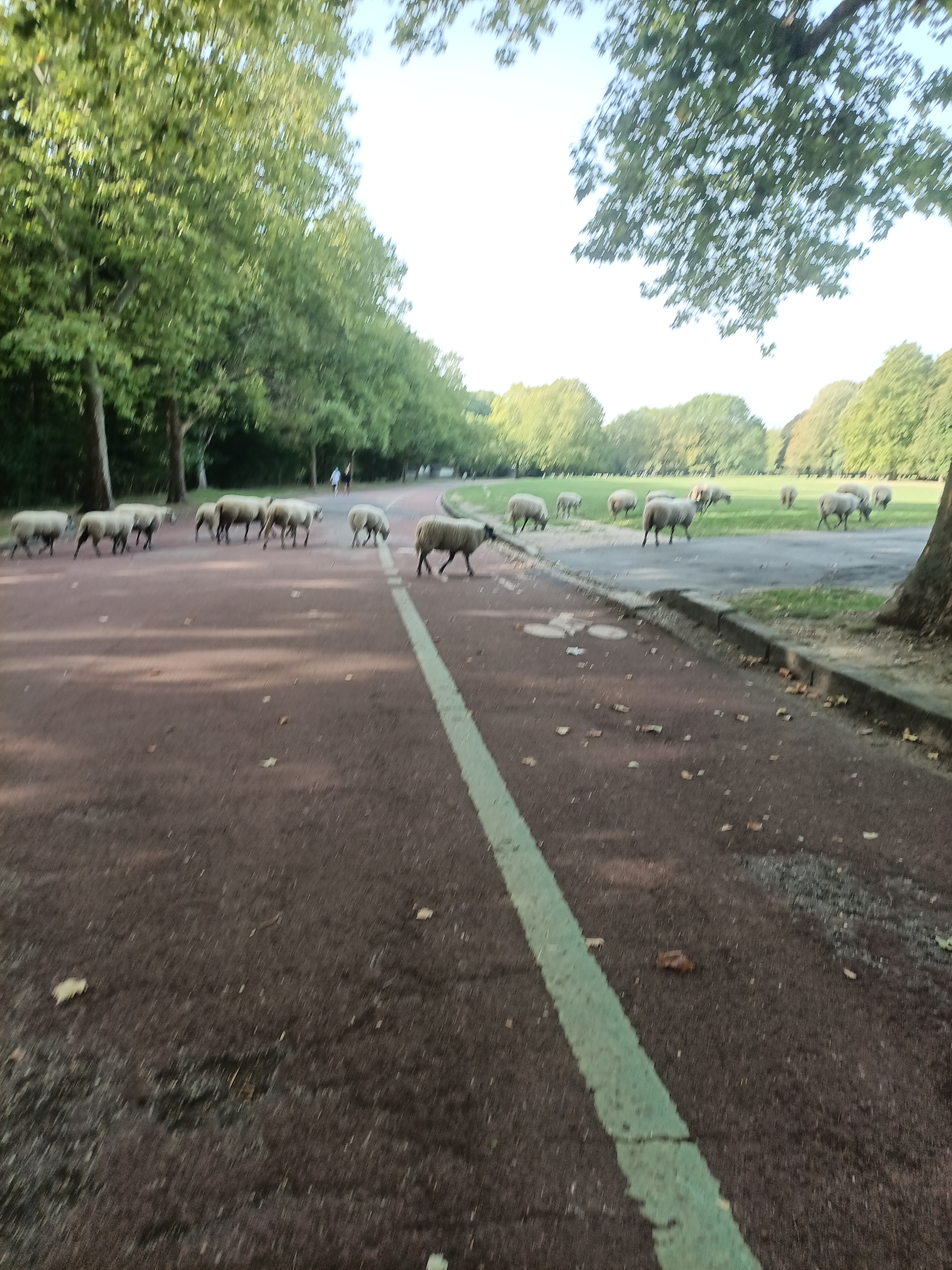 Photo n° 14 de l'avis de ini.e fait le 29/07/2023 à 12:14