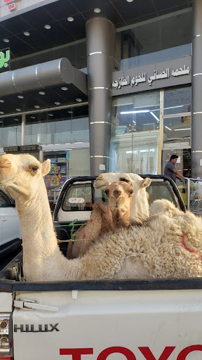 ملحمة الحساني للحوم الطازجه 