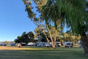 Blatherskite Park (Alice Springs Showgrounds) image