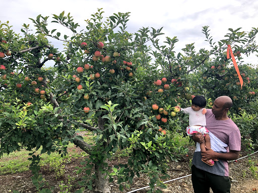 Lawrence Farms Orchards image 3