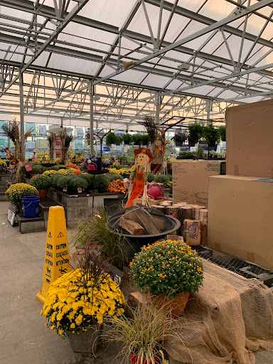 Stores to buy outdoor plants Washington