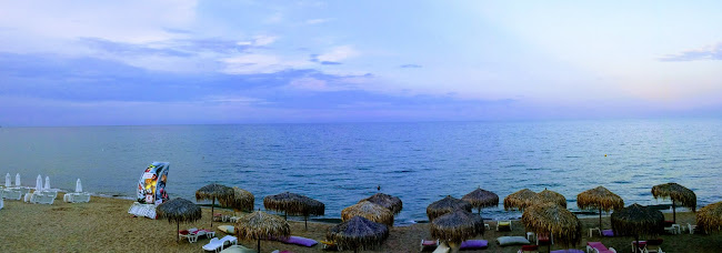 Тодор Илчев 1, 8250 Обзор