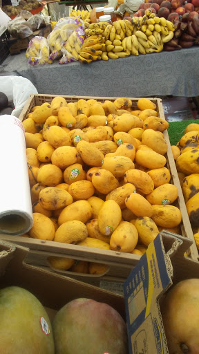 Flea Market «The Roadium Open Air Market», reviews and photos, 2500 W Redondo Beach Blvd, Torrance, CA 90504, USA