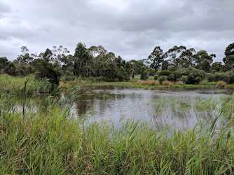 Tirhatuan Wetlands