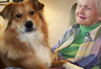 Kansas City Hospice & Palliative Care - Photo 2 - Car repair in Kansas City, MO, Overland Park