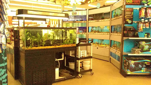 Pet Supply Store «Petco Animal Supplies», reviews and photos, 6425 Keizer Station Blvd, Keizer, OR 97303, USA