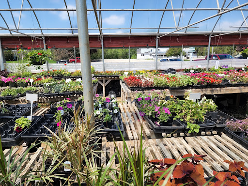 Greenhouse «Stiles Vegetable Farm and Greenhouse», reviews and photos, 11717 Sheridan Rd, Pleasant Prairie, WI 53158, USA