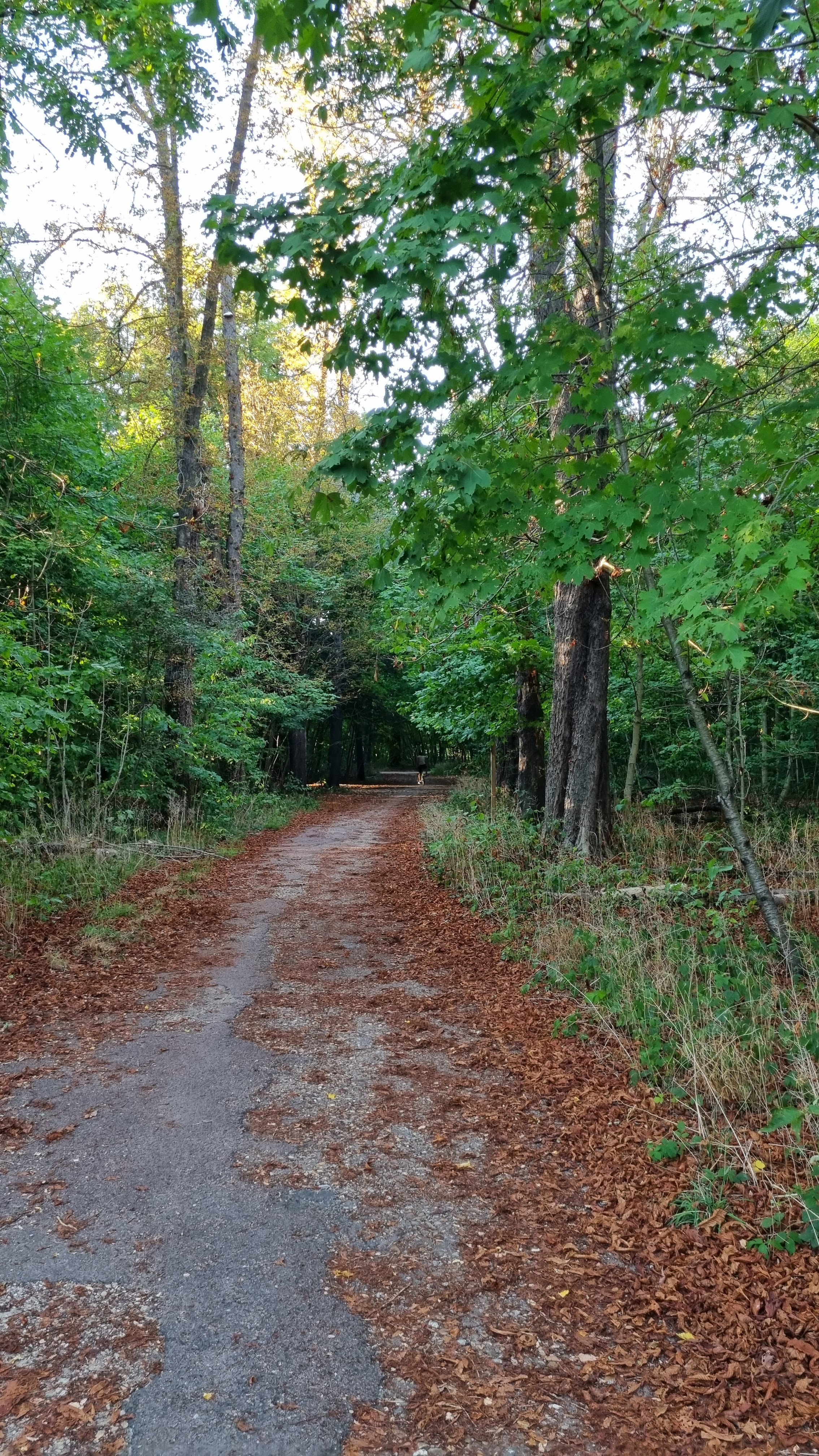 Photo n° 4 de l'avis de Stavroula.a fait le 09/08/2022 à 08:23