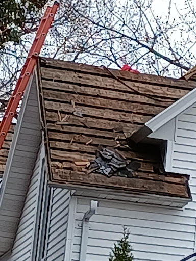 Roofing Contractor «Security-Luebke Roofing», reviews and photos