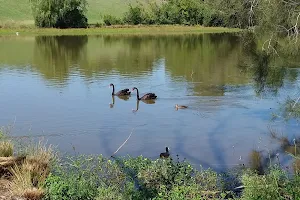 Pughs Lagoon Reserve image