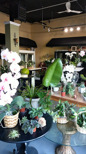 Florist «European Petals», reviews and photos, 289 Franklin Ave, Wyckoff, NJ 07481, USA