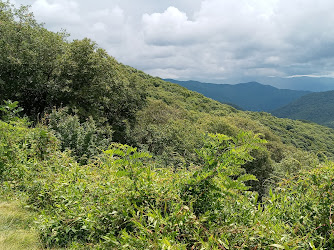Smoky Mountains Sightseeing Pass