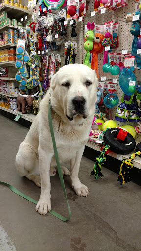 Farm Equipment Supplier «Family Farm & Home», reviews and photos, 66875 Gratiot Ave, Richmond, MI 48062, USA