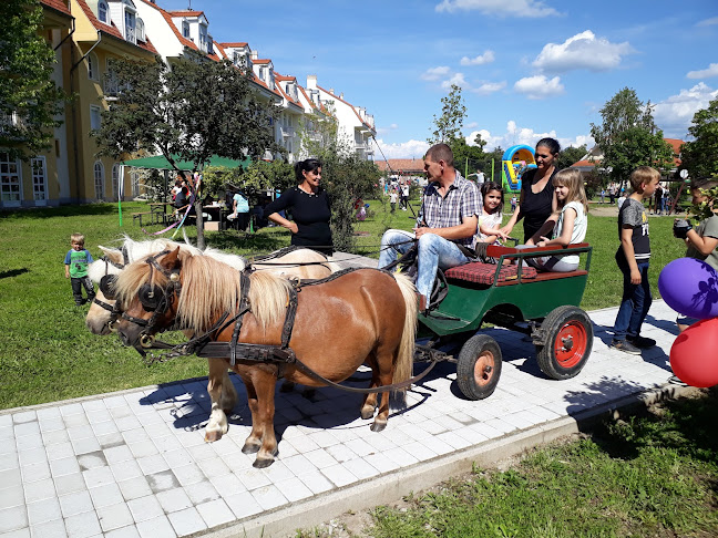 Pásztó Város Önkormányzata