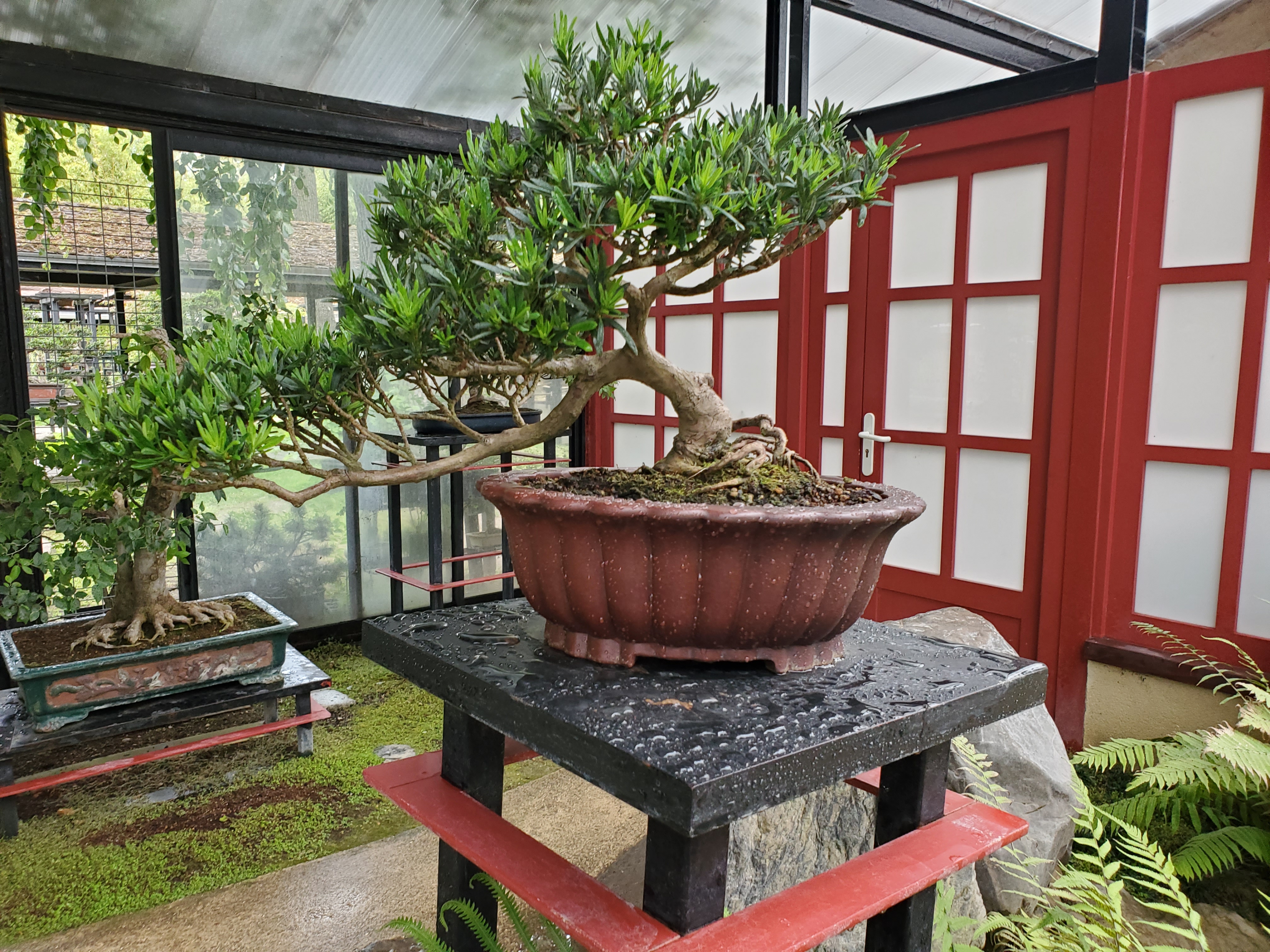 Photo n° 13 de l'avis de Fabienne.a fait le 21/07/2023 à 10:09