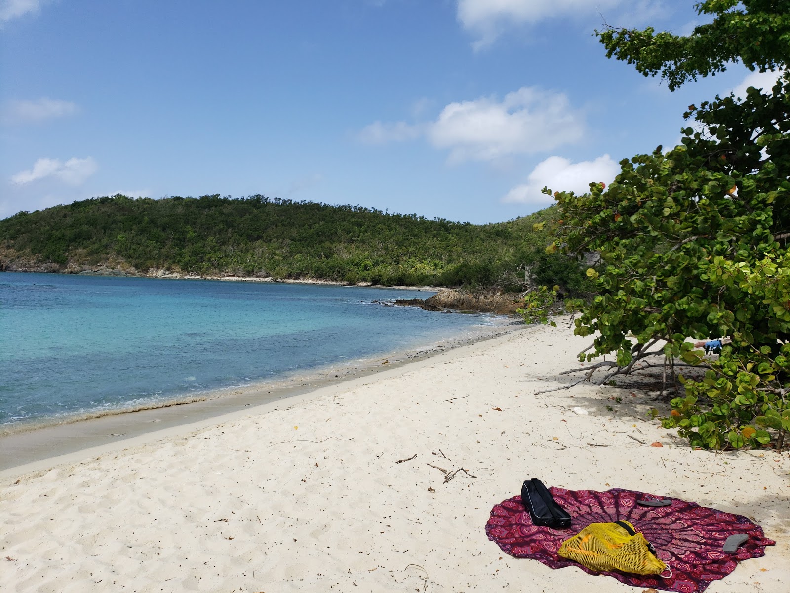 Foto av Lameshur beach med turkos rent vatten yta