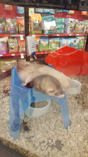 Pet Supply Store «Petco Animal Supplies», reviews and photos, 313 Homer M Adams Pkwy, Alton, IL 62002, USA