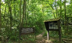 Gallagher Fen State Nature Preserve