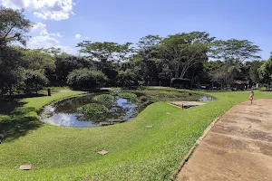 Bauru Municipal Botanical Garden image